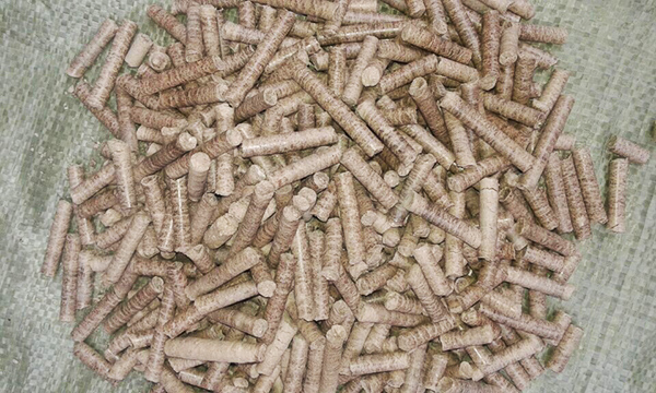 生物質(zhì)燃料 生物質(zhì)燃料